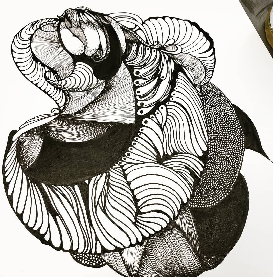 48366598_2203009636607369_842890445691289600_o