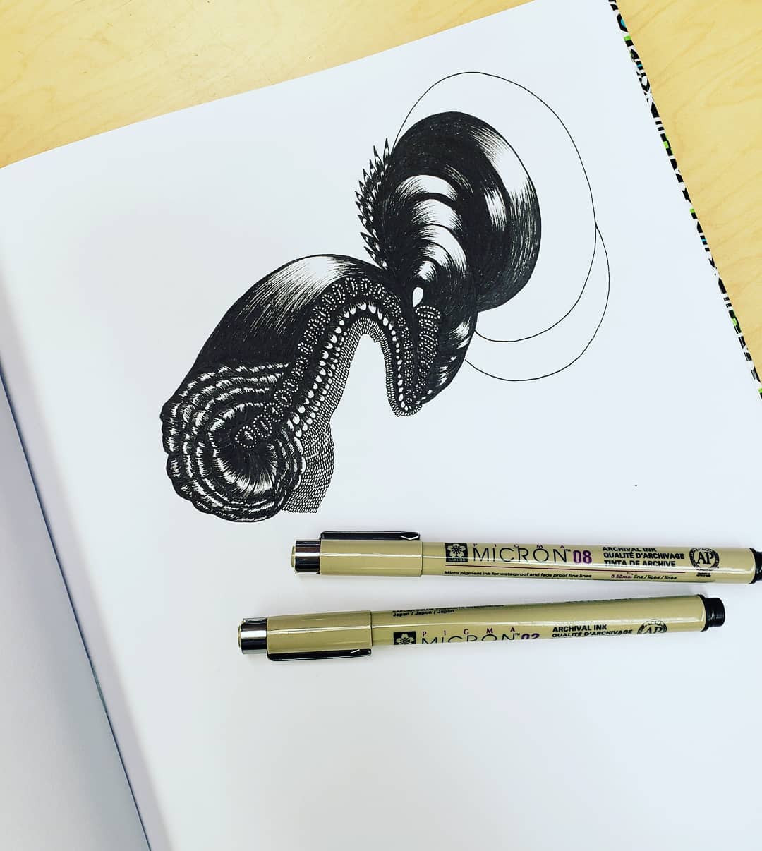 64451872_2312930232281975_5147481187148627968_o