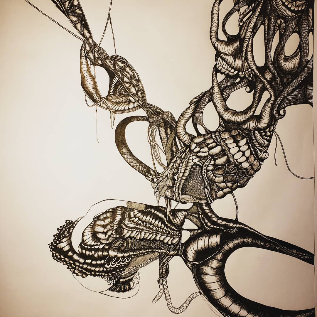 65461650_2320979284810403_1403221177731645440_o